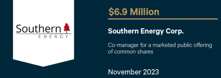 Southern Energy Corp.-November 2023